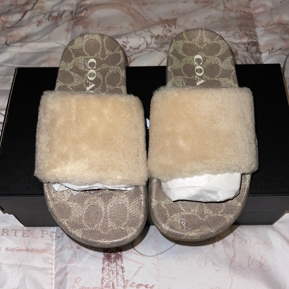 Coach Ulla Slide
